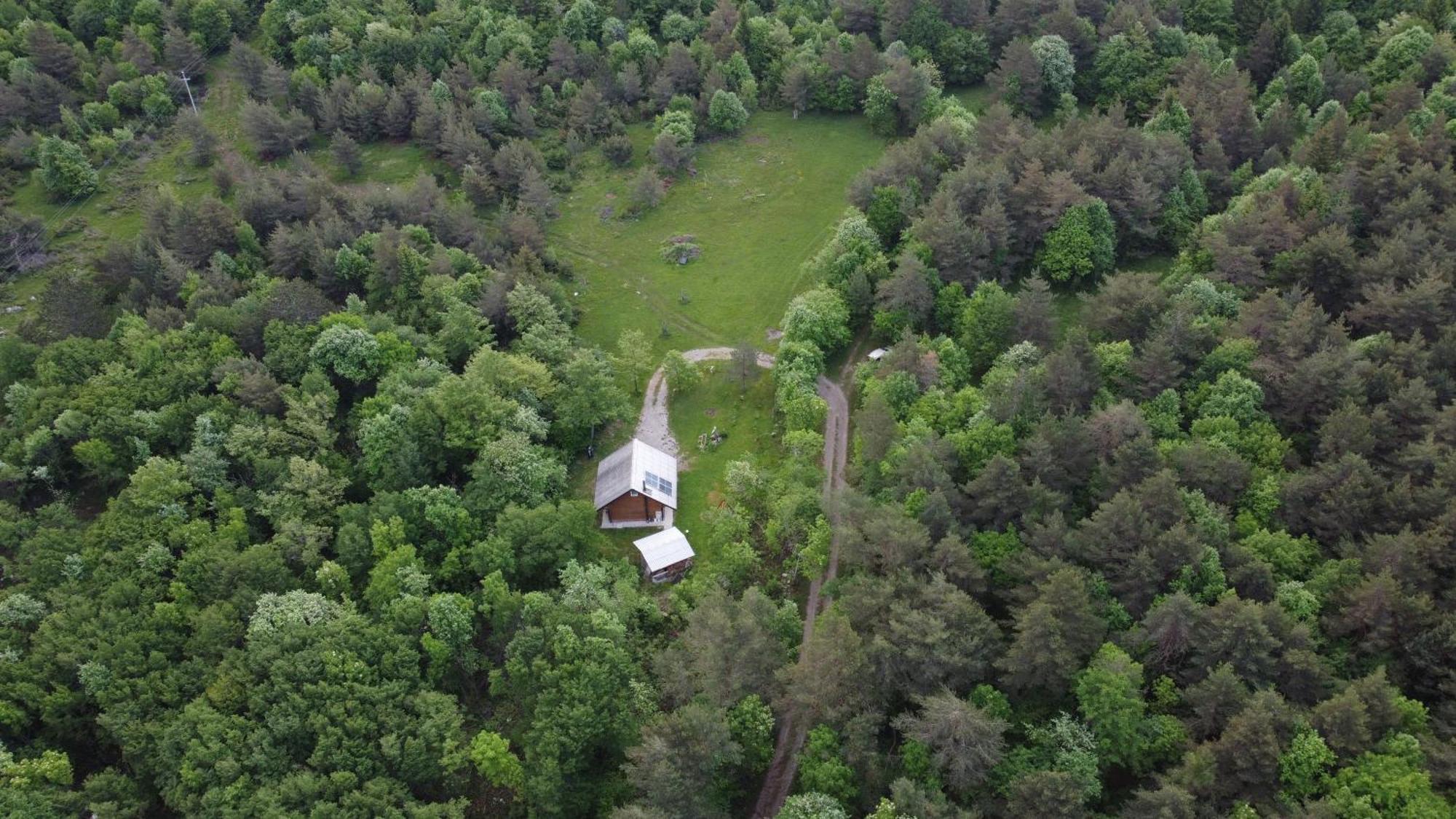 Podklanci-House In The Forest Knezak Eksteriør bilde